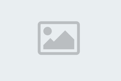 Ambiente 2026 – Linguagem Arquitetónica e Investigação Avançada de Superfícies